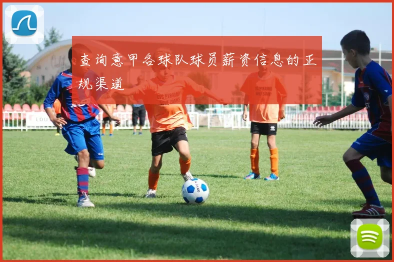 查询意甲各球队球员薪资信息的正规渠道
